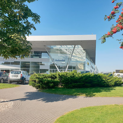 Autoaibe mieste Vilnius