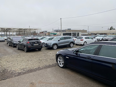 ALZ-Auto mieste Kaunas