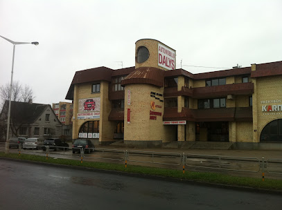 Audelma mieste Panevezys