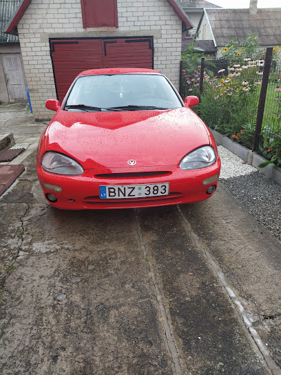 Pranausko automobiliu remonto dirbtuves mieste Naujoji Akmene