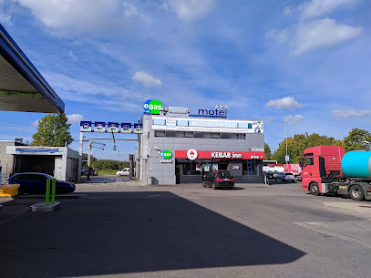Egas mieste Vilnius
