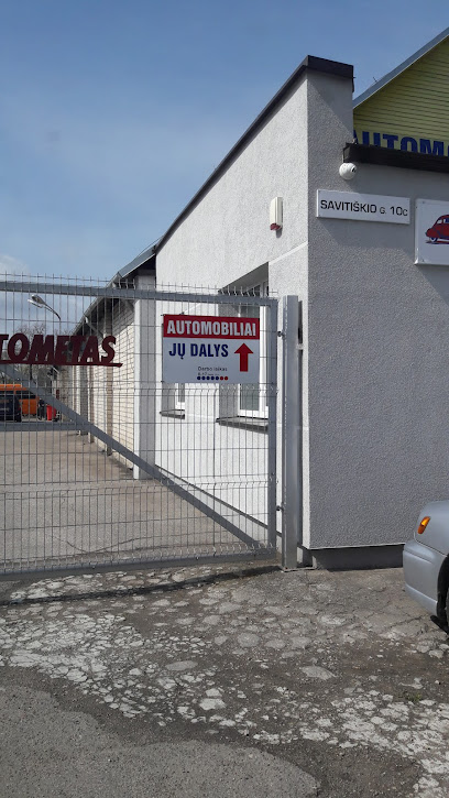Autometas mieste Panevezys