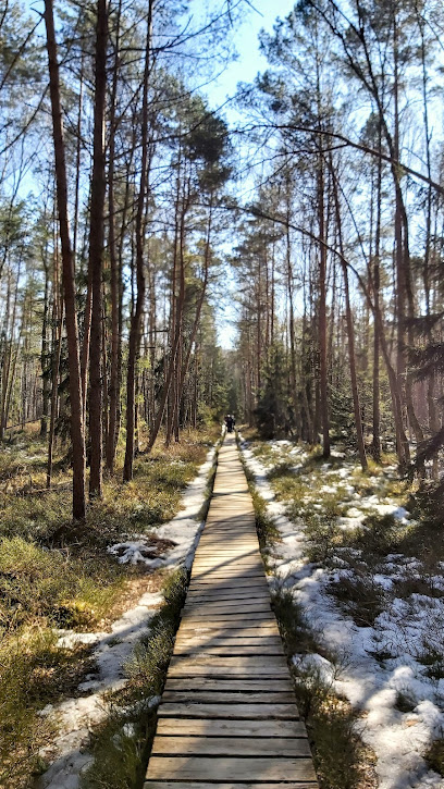 Stovejimo aikstele – Trakai