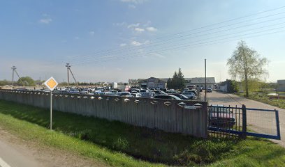 Auto srotas mieste Liepynai