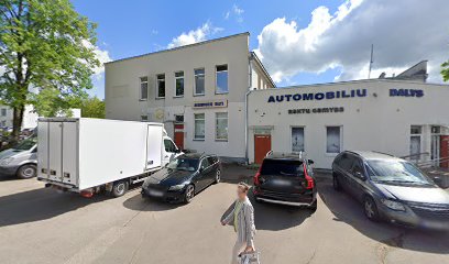 Saldi svajone mieste Elektrenai