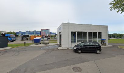 Polizinginiai. Lt mieste Klaipeda